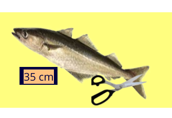 35 cm