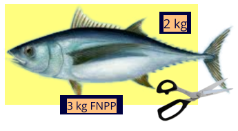 2 kg  3 kg FNPP