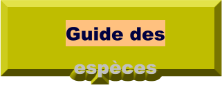 Guide des espèces
