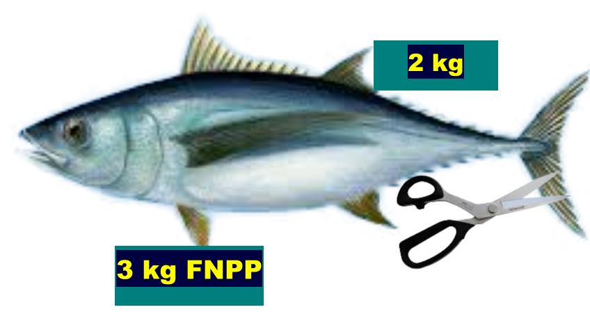 2 kg  3 kg FNPP