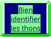 Bien identifier les thons