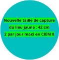 Nouvelle taille de capture du lieu jaune : 42 cm 2 par jour maxi en CIEM 8
