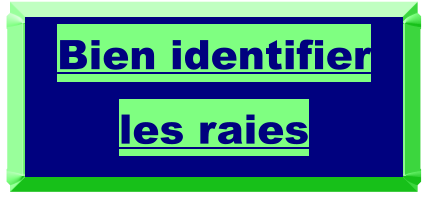 Bien identifier les raies