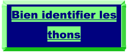 Bien identifier les thons
