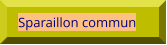 Sparaillon commun