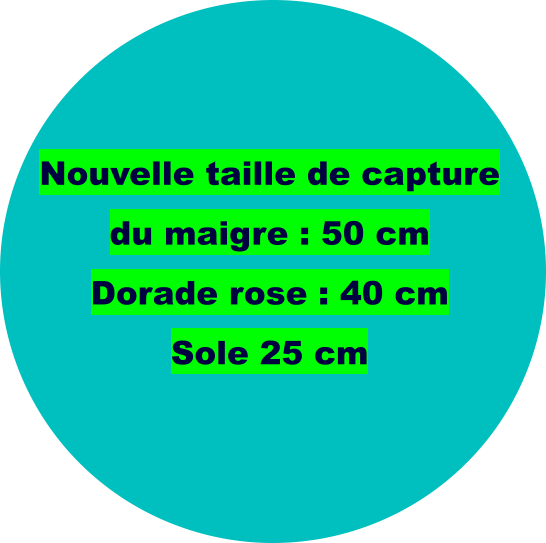 Nouvelle taille de capture du maigre : 50 cm Dorade rose : 40 cm Sole 25 cm