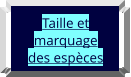Taille et marquage  des espèces