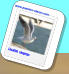 Location  vacances www.passion-oleron.com