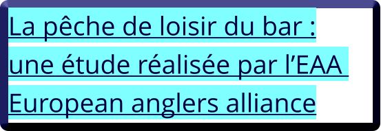 La pêche de loisir du bar : une étude réalisée par l’EAA  European anglers alliance