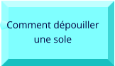 Comment dépouiller  une sole