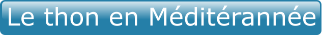 Le thon en Méditérannée
