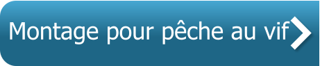 Montage pour pêche au vif