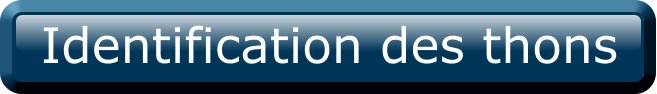 Identification des thons