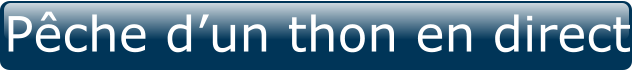 Pêche d’un thon en direct