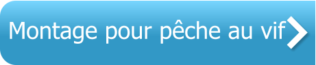 Montage pour pêche au vif