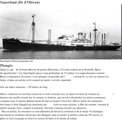 Sauerland (Ile d'Oléron) Saueland archeosousmarine.net Plongée Située à coté de la bouée d’arrivée du pertuis d’Antioche, à 24 miles à l’ouest de la Rochelle, l’épave  du speerbrecher 7 (ex Sauerland) repose à une profondeur de 35 mètres. Les superstructures (surtout  l’étrave) culminent à 20 mètres. Cette plongée est possible dès l e niveau II. Le site est exposé à la  houle, et dans un secteur où le courant de marée y est très important. C’est une épave immense : 150 mètres de long. L’étrave renforcée est très bien conservée et reste verticale avec un aspect en lame de couteau qu i  domine une souille creusée par le courant. Le bruiteur, qui servait à déclancher les mines acoustiques  a disparu mais il subsiste l’emplacement du mat sur lequel il était fixé. L’étrave abrite des entreponts  très larges et bien dégagés qui autorisent une visite en toute sécurité. A l’abri du courant, viennent s’y  abriter tacauds, lieus, congres et homards. Des bars viennent circuler aux alentours. Plus en arrière, les structures se sont affaissées du fait de la corrosion et de la houle. On distingue  net tement les machines diesel qui sont dégagées, plus en arrière le dernier canon de 105 encore en  place et tout à la poupe se trouve le secteur de barre et la mèche de safran.