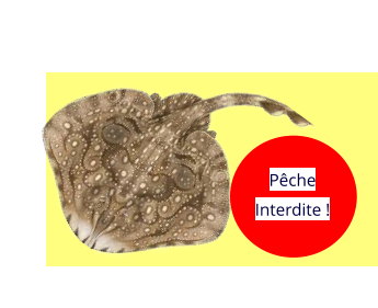 Pêche Interdite !