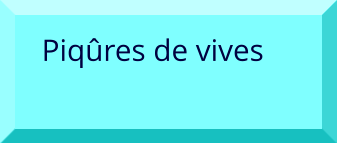Piqûres de vives